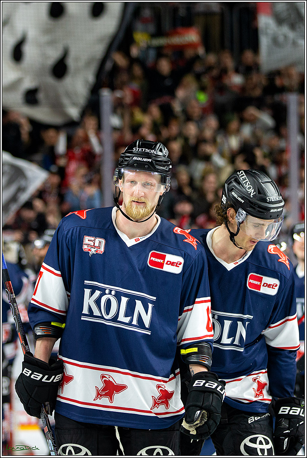 PENNY DEL; Koelner Haie- Nuernberger Ice Tigers; Koeln, 29.01.2023